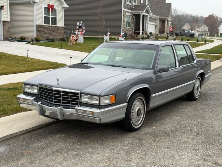 595050107_10233058948437779_1420102940015474744_n