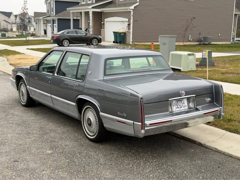 595512284_10233058947517756_4448453214351404900_n